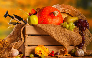 ,    , , , , autumn, harvest, , , vegetables, pumpkin, still, life, , 