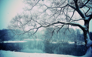      1920x1200 , , lake, winter, , , , snowing, tree