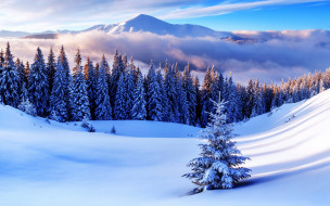      2880x1800 , , , snow, winter, nature, , , 