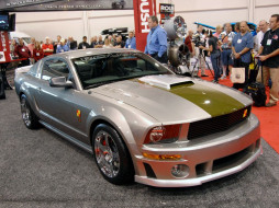 2008, roush, 51a, mustang, , ford